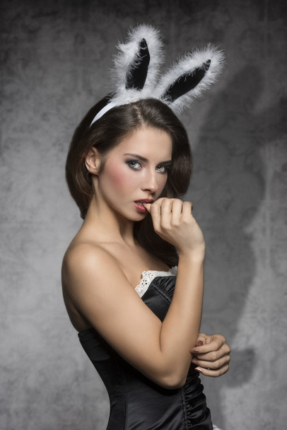 Dark easter rabbit - Photo, Image