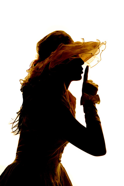 Silhouette of a woman posing - 写真・画像
