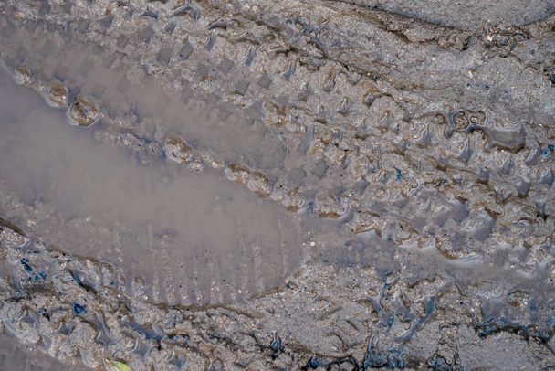 close up de marcas de pneus na areia na costa - Foto, Imagem