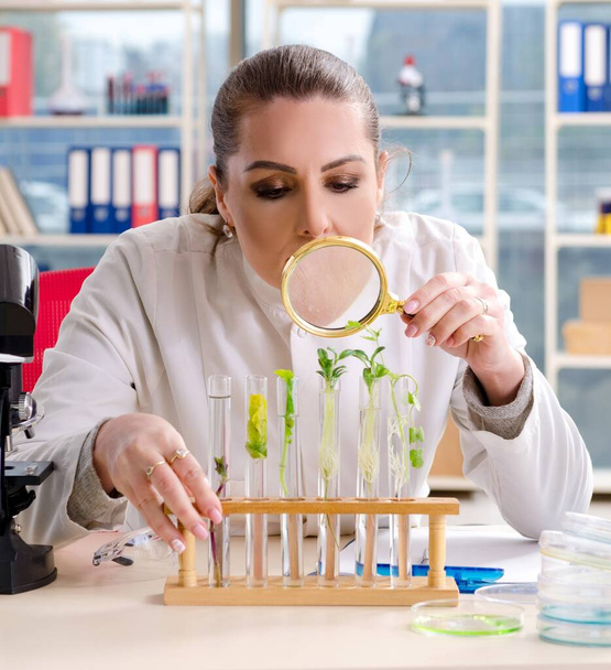 研究室で働いている女性バイオテクノロジー科学者の化学者は - 写真・画像