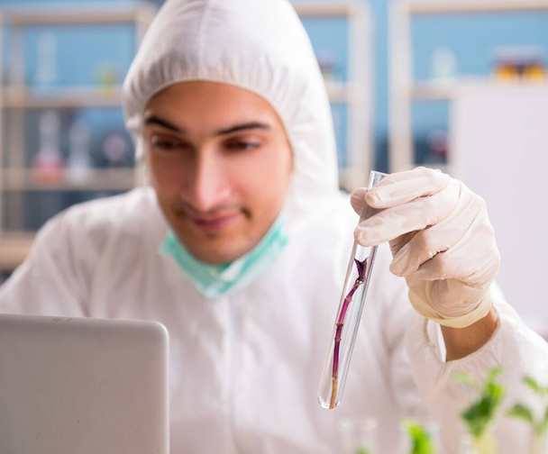 O cientista químico de biotecnologia masculino que trabalha no laboratório - Foto, Imagem