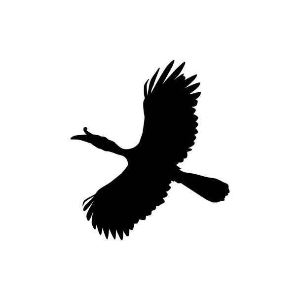 Flying Great Horn Bird Silhouette. Can use for Art Illustration, Logo Gram, Website, Pictogram or Graphic Design Element. Vector Illustration - Vector, Image