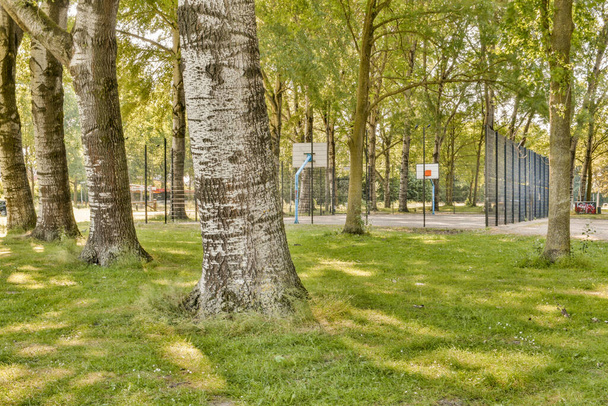 ein Park mit ein paar Bäumen und Gras im Vordergrund - das Bild wurde aus einem Flugzeugfenster aufgenommen, aber niemand kann es sehen - Foto, Bild