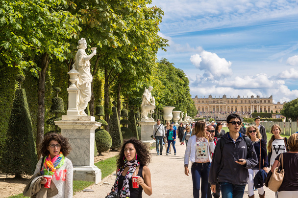 Versailles palace in  France - Fotografie, Obrázek