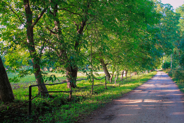 Путешествие по сельской дороге на закате солнца: изучение сельской жизни, путешествие среди природы и активный отдых - Фото, изображение