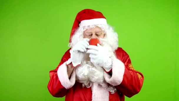 Pravý radostný Santa Claus pije horký nápoj čaj nebo kávu v červeném šálku. Veselý Santa v červeném obleku během Vánoc. Zelená obrazovka. Klíč Chroma. - Záběry, video