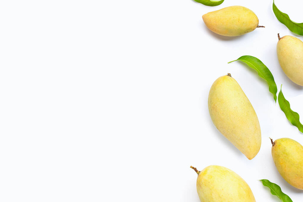 Tropikalny owoc, mango na białym tle. Widok z góry - Zdjęcie, obraz