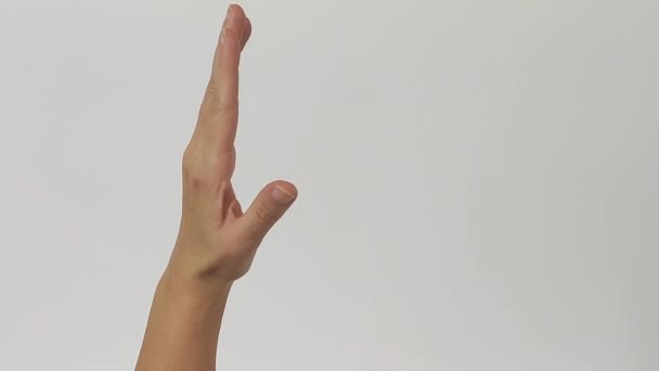 Lettera gestuale della mano dell'alfabeto O o zero sullo sfondo dello schermo bianco - Filmati, video