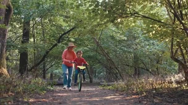 Una madre insegna a suo figlio ad andare in bicicletta nella foresta. Una donna sostiene la bicicletta di un bambino che cammina. Cura dei genitori. Filmati 4k di alta qualità - Filmati, video
