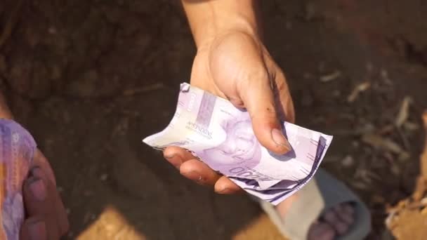  Bir adamın elleri bir çiftlikteki açık bir alanda 10 rupiah banknot sayıyor. - Video, Çekim