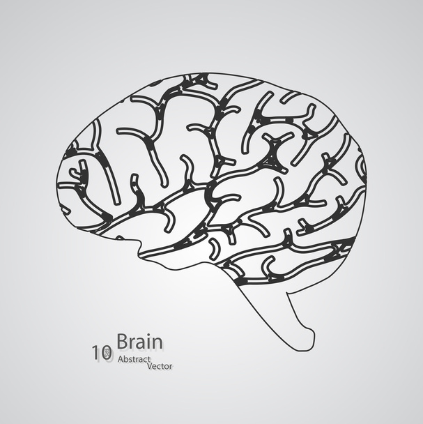 Творча концепція людського мозку
 - Вектор, зображення