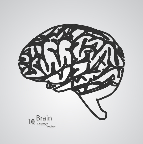 δημιουργική ιδέα του ανθρώπινου εγκεφάλου - Διάνυσμα, εικόνα