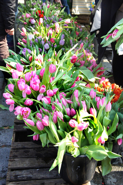 Marché avec beaucoup de tulipes
 - Photo, image