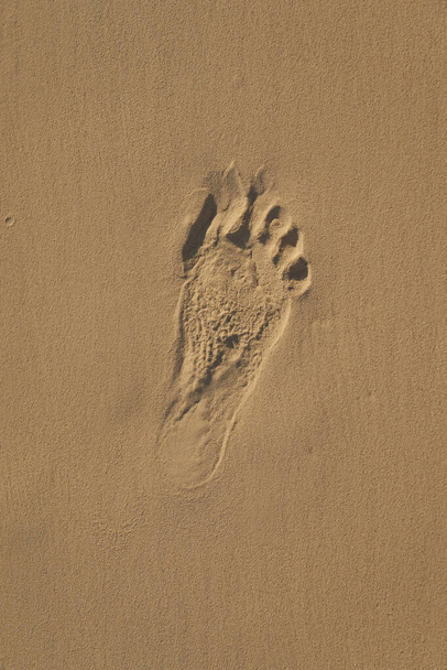 Kumsalda kumların üzerinde bir yetişkinin ayak izi. - Fotoğraf, Görsel