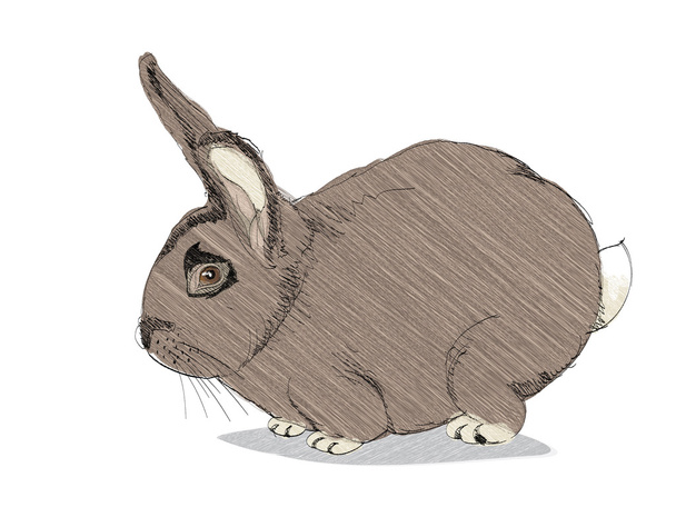 Cartoon konijn - Vector, afbeelding