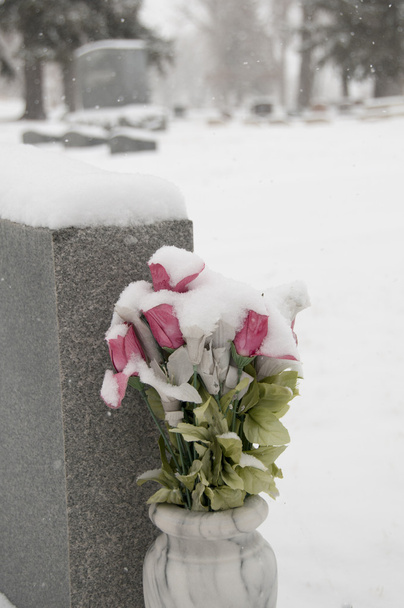 雪 flowers1 - 写真・画像