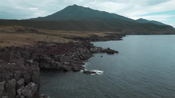 崖,山,海岸の空中ビュー。 クリップ。 曇った空に向かって火山を滑る森 - 映像、動画