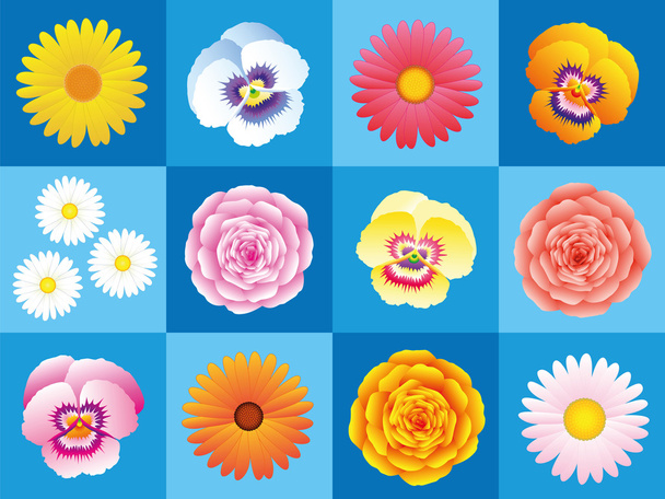 Patroon van de achtergrond van de bloemen - Vector, afbeelding