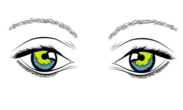 Os olhos da mulher
 - Vetor, Imagem