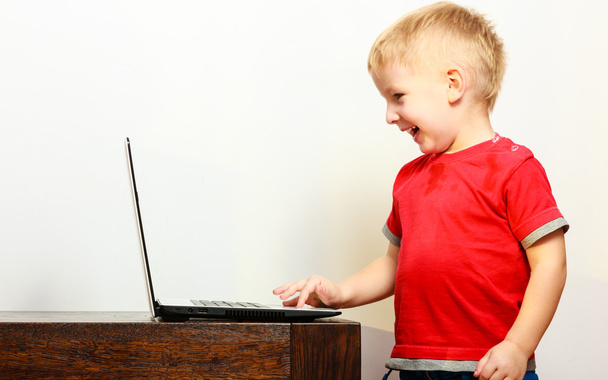 Little boy using laptop - 写真・画像
