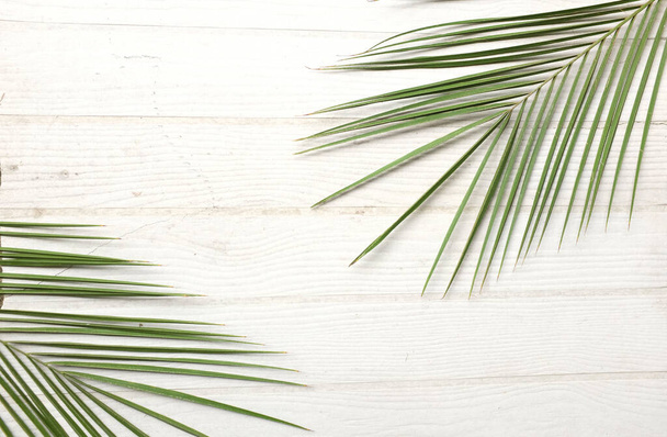 tropical palm leaf and coconut leaf isolated on white backdrop.Summer concept, Exotic nature card or banner with frame for text flat lay, top view - Photo, Image