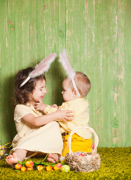 Easter rabbits - Zdjęcie, obraz