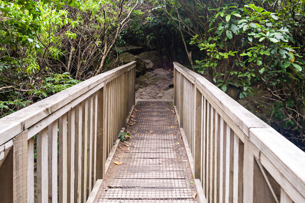 Puente pasarela de madera
 - Foto, imagen