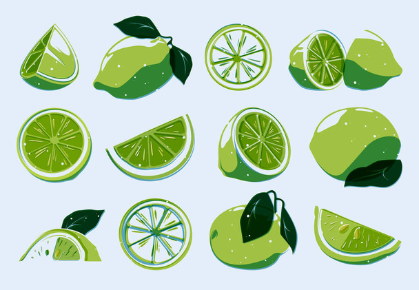 Sliced lime set. Cartoon whole organic citrus fruits, lemon and lime peel segments in flat style, healthy diet elements. Vector isolated collection. Green sour plant for mojito cocktail - Vector, Image