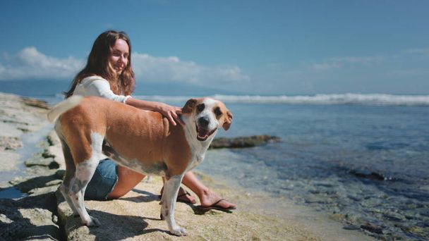 Kobieta zrelaksować się ze swoimi psami siedzi na plaży na wybrzeżu oceanu. Młoda brunetka pieszcząca tył czerwonego zabawnego zwierzaka. Spędzanie czasu z najlepszymi przyjaciółmi. - Zdjęcie, obraz
