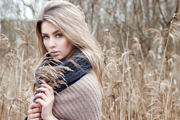 Portrait of a beautiful girl with blue eyes in a grey jacket in the field among trees and tall dry grass, tinted in shades of gray - Fotoğraf, Görsel