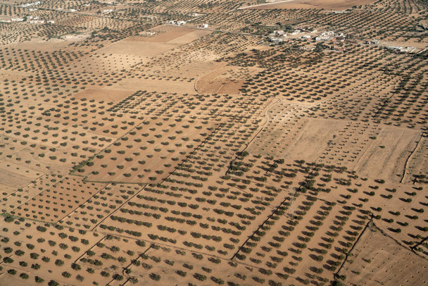 Вид з повітря на сільську місцевість - Монастирська губернія - Туніс - Фото, зображення