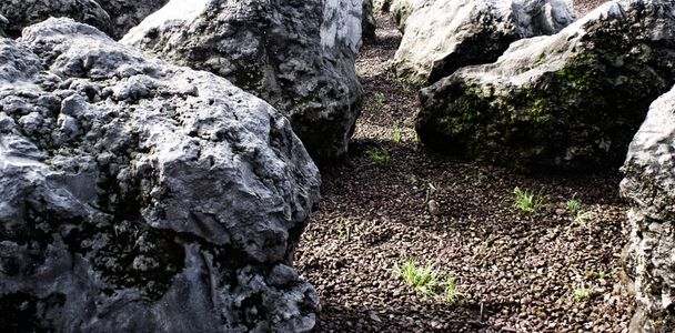 Big stones with moss - Foto, imagen