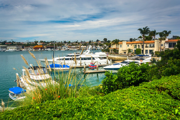 View of the harbor, seen from Lido Isle, in Newport Beach, Calif - Photo, Image