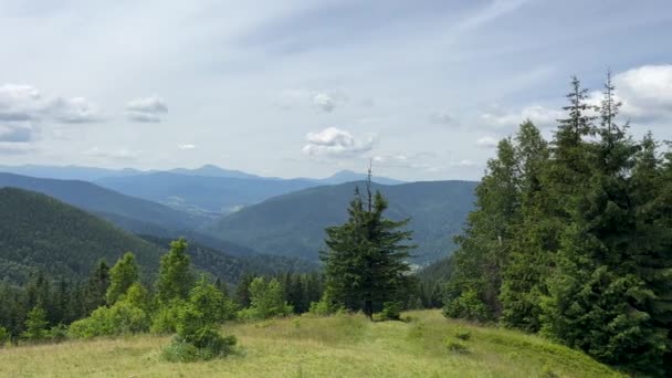 Ukrayna Karpatya dağları Hoverla 'daki Panorama manzara manzarası. Yüksek kalite 4k görüntü - Video, Çekim