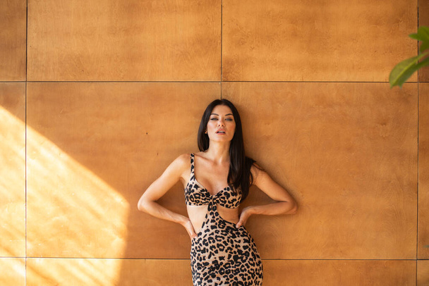 Femme en léopard imprimé robe d'été - Photo, image