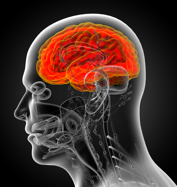 3d renderować ilustrację medyczną mózgu - Zdjęcie, obraz