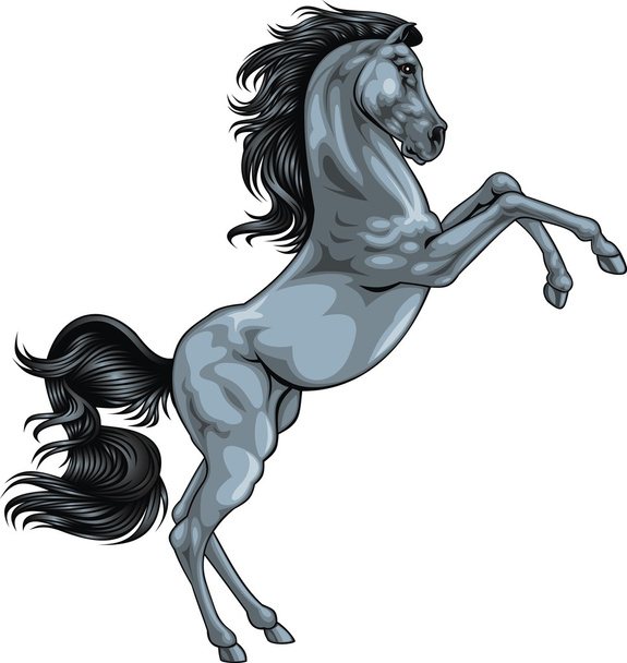 gray horse - Vector, Image