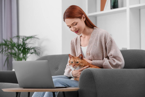 Woman stroking cat while working on sofa at home - Foto, immagini