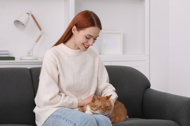 Happy woman with her cute cat on sofa at home - Fotó, kép