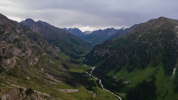 Drone view of a green gorge with high rocky cliffs. A grey, bubbling river is running. The sky was overcast. Lots of big rocks and coniferous trees. Wildlife of Kazakhstan. Gorges of Burkhan Bulak - Photo, Image