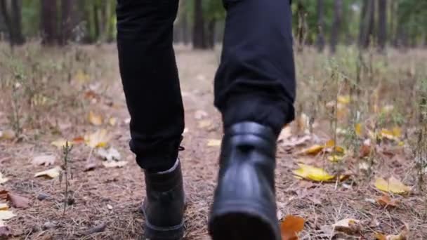 Чоловік у взутті проходить через осінній ліс. Чорні чоботи на жовтому сухому опалому листі. Відпочинок, розслаблення в осінньому лісі. Осіння концепція прогулянки лісом. Відпочинок і подорожі. - Кадри, відео