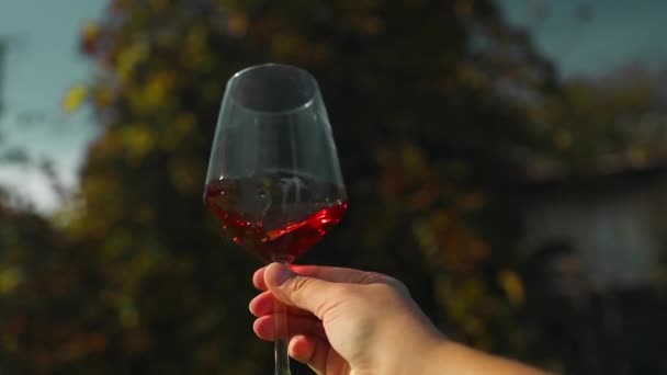 Žena se sklenicí červeného vína a hroznem černých hroznů na vinici. Koncepty vinobraní, sklizně a výroby vína. Vysoce kvalitní FullHD záběry - Záběry, video