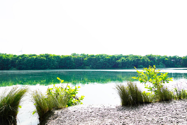 Paisaje en el Rolandsee cerca de Beckum. Naturaleza verde en un lago en Alemania. - Foto, imagen