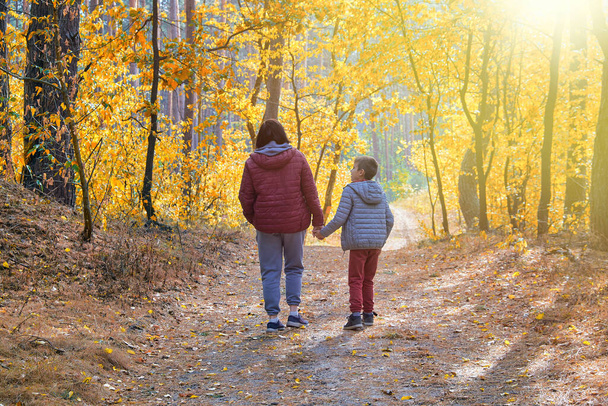 Aile ormanda yürüyor. Anne ve küçük oğlu, güneşli bir sonbahar ormanı yolunda el ele yürüyorlar. Aile bağları, yetiştirme, kaliteli zaman, ebeveynlik, birliktelik.. - Fotoğraf, Görsel