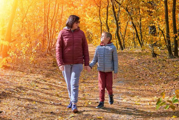 Aile ormanda yürüyor. Anne ve küçük oğlu, güneşli bir sonbahar ormanı yolunda el ele yürüyorlar. Aile bağları, yetiştirme, kaliteli zaman, ebeveynlik, birliktelik.. - Fotoğraf, Görsel