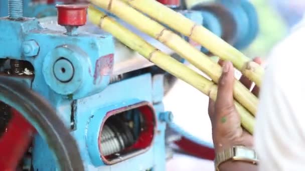 Hombre indio haciendo jugo de caña
 - Metraje, vídeo