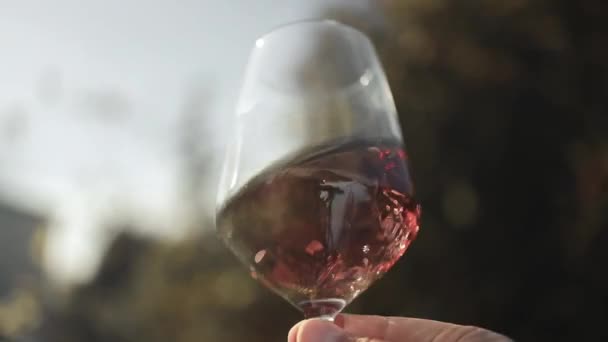 Een vrouw met een glas rode wijn en zwarte druiven in de wijngaard. Concepten van vintage, oogst en wijn maken. Hoge kwaliteit FullHD beeldmateriaal - Video