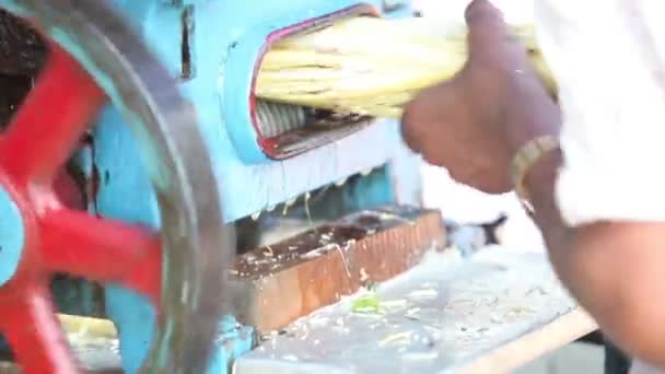 Indian człowiek co sok z trzciny - Materiał filmowy, wideo