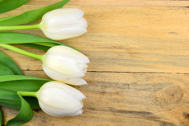 Tres tulipanes blancos en fila sobre fondo de madera viejo con espacio vacío para el diseño y el texto, horizontal
 - Foto, imagen