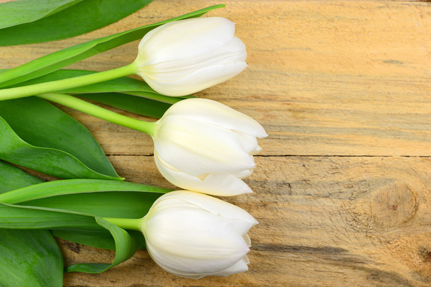 Tres tulipanes blancos en fila sobre fondo de madera viejo con espacio vacío para el diseño y el texto, horizontal
 - Foto, Imagen